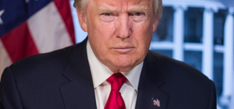 President Trump staring at the camera with an American flag in the background.