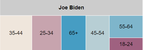 Tree map showing spending by age group for Biden from 6/1/ to 11/8/20. Biden spent the most on ages for 35-44, 25-34, and 65+ year-olds.